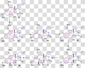Line Angle Point, line transparent background PNG clipart thumbnail