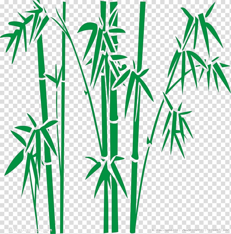 Bamboo , Bamboo transparent background PNG clipart
