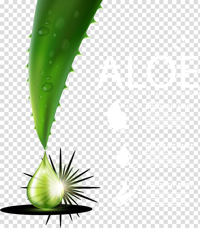 Aloe vera Leaf Liquid Green Drop, Aloe Vera Skin Care ad element transparent background PNG clipart
