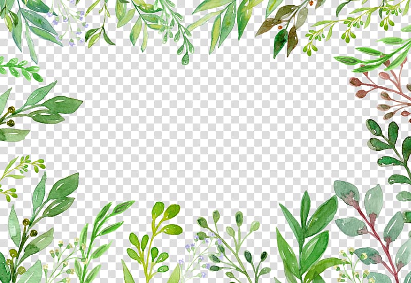 green leaf plant illustration, Green Plant Euclidean Vecteur, Green summer plant hand-painted border transparent background PNG clipart