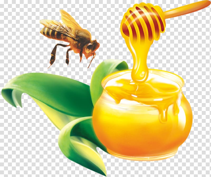 Australia Bee Comb honey Honeycomb, honey transparent background PNG clipart