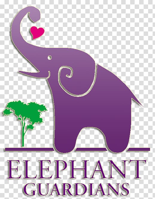 Indian elephant Los Angeles Zoo Elephantidae Bull Circus, asian Elephant transparent background PNG clipart