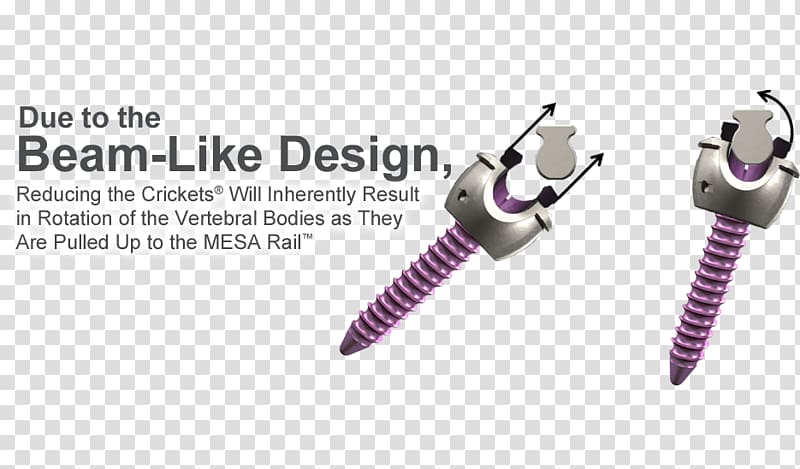 Vertebral column K2M Group Holdings Keyword Tool Thoracic vertebrae Spinal cord, others transparent background PNG clipart