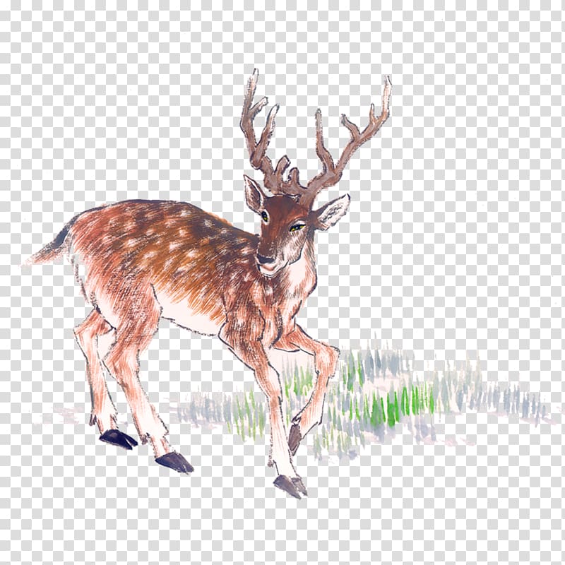 Deer Chinese painting Ink wash painting, Deer transparent background PNG clipart