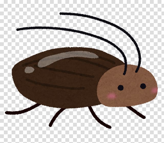 Smokybrown cockroach Insecticide Termite, cockroach transparent background PNG clipart