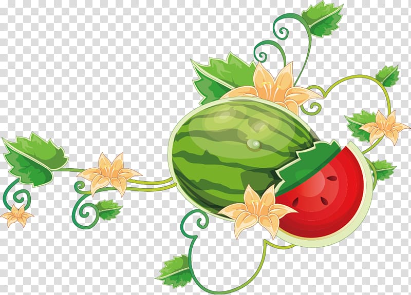 Common Grape Vine Wine Watermelon, Cartoon watermelon vine transparent background PNG clipart