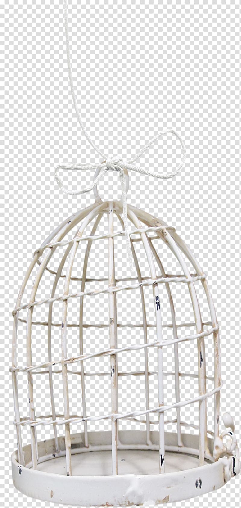 Cage Bird Product design Highway M06 Painting, Bird transparent background PNG clipart