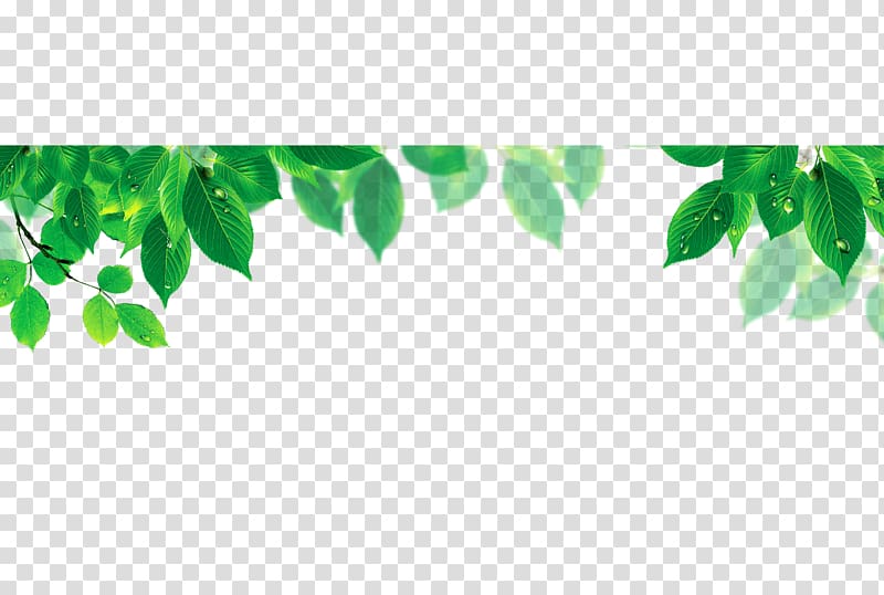 Computer file, Leaf shading transparent background PNG clipart