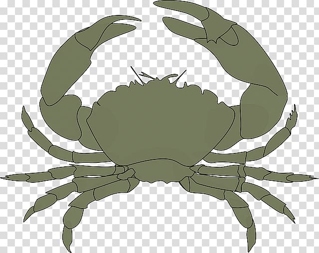 Chesapeake blue crab , crab cartoon transparent background PNG clipart