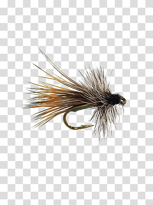 Dry Fly Fishing transparent background PNG cliparts free download