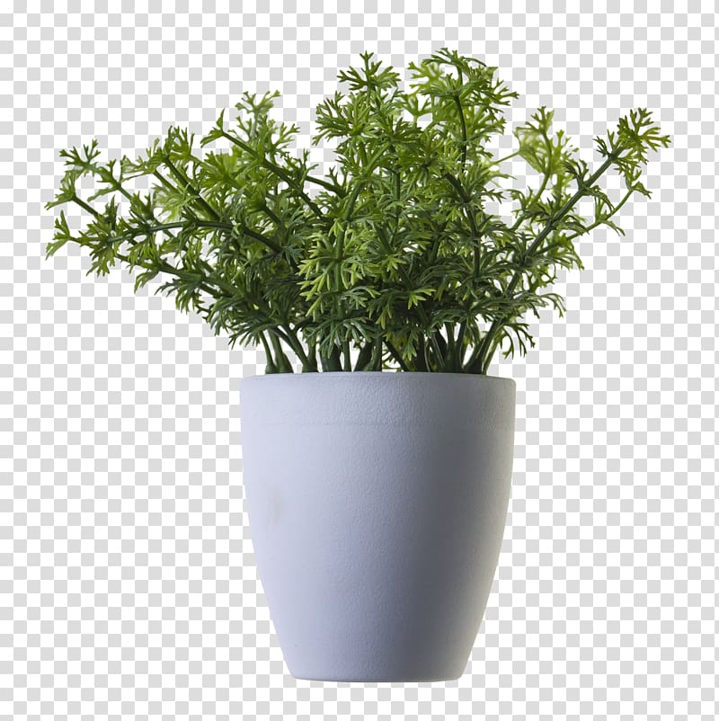 green leafed plant in white vase, Houseplant Tree, Plant transparent background PNG clipart