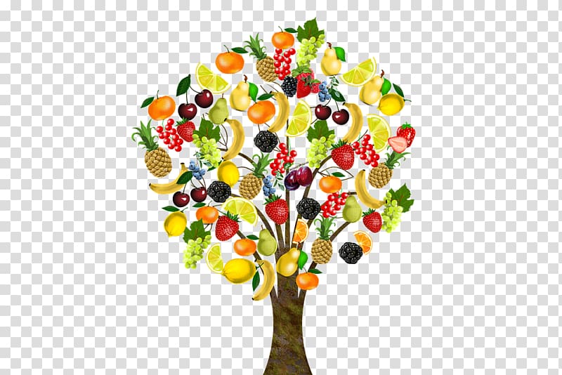 exotic fruit trees transparent background PNG clipart