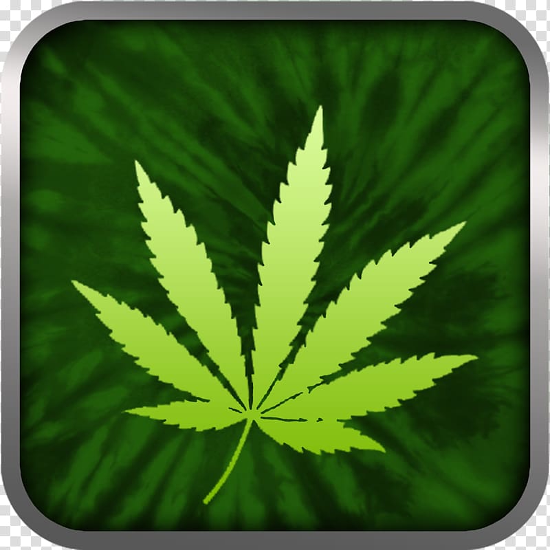 Cannabis sativa Hemp Substance abuse Narcotic, cannabis transparent background PNG clipart
