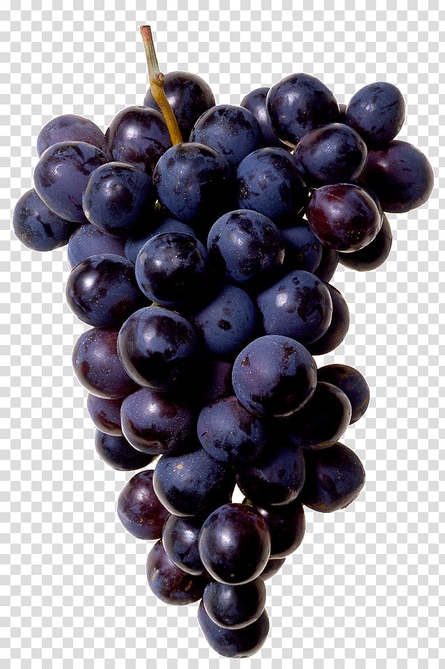 Juice Common Grape Vine Concord grape, a bunch of grapes transparent background PNG clipart