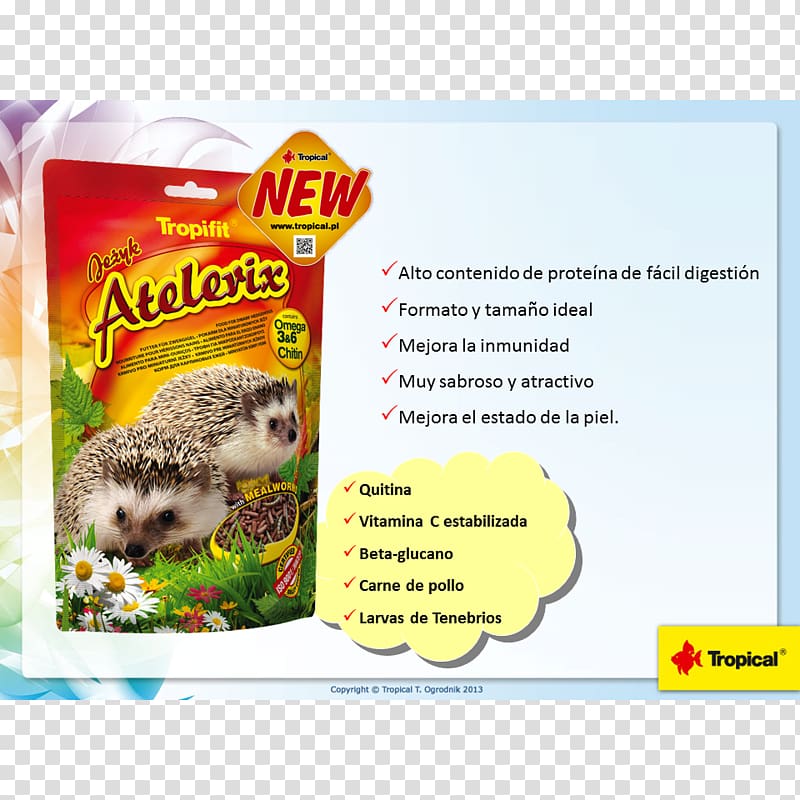 Four-toed hedgehog Rodent Food Guinea pig Hérisson, erizo transparent background PNG clipart