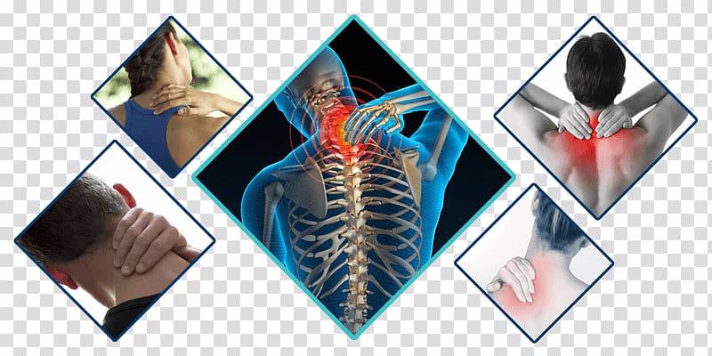 Neck pain Human back Chiropractic Hip pain Back pain, Neck Pain transparent background PNG clipart