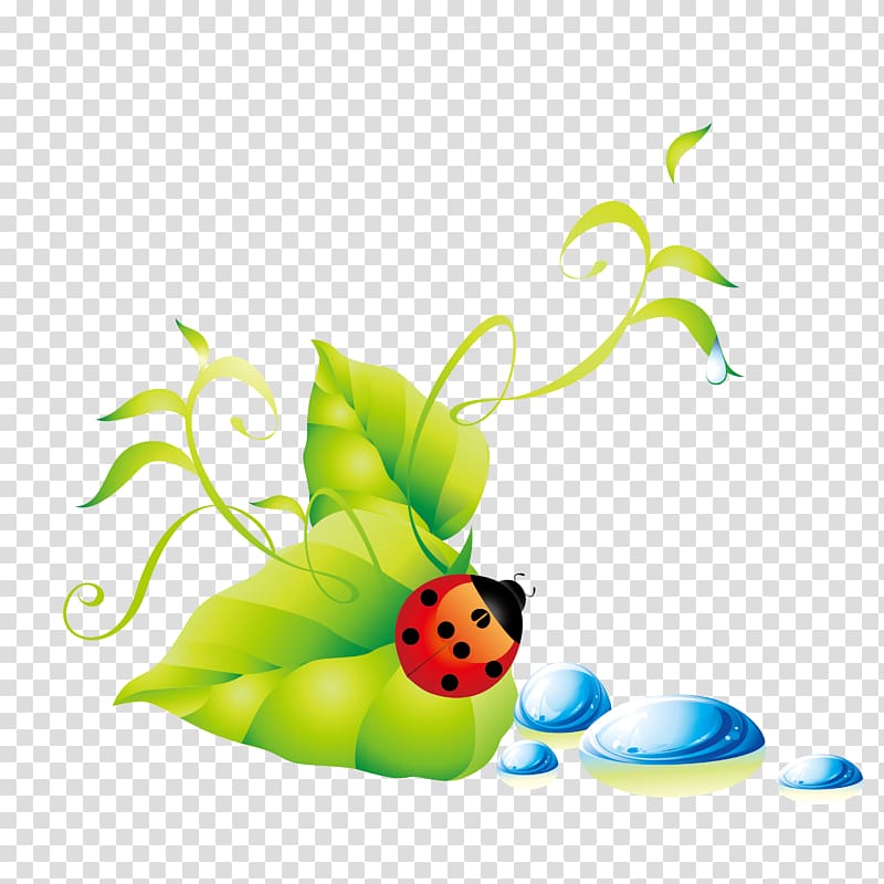 red ladybug illustration, Green leaf ladybug water droplets background transparent background PNG clipart