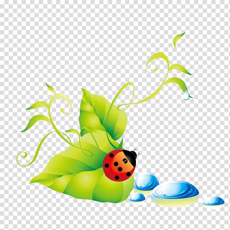 Ladybug With Water Droplets PNG Images & PSDs for Download