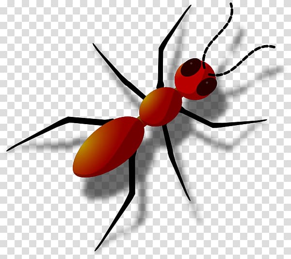 Black garden ant , ant transparent background PNG clipart