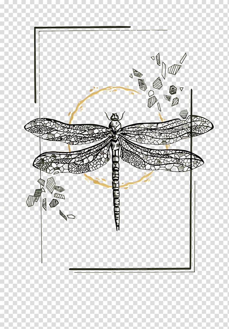 Insect , Dragonfly transparent background PNG clipart