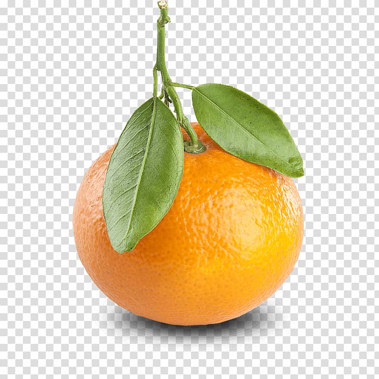 Mandarin orange Tangerine Clementine Grapefruit, tangerine transparent background PNG clipart
