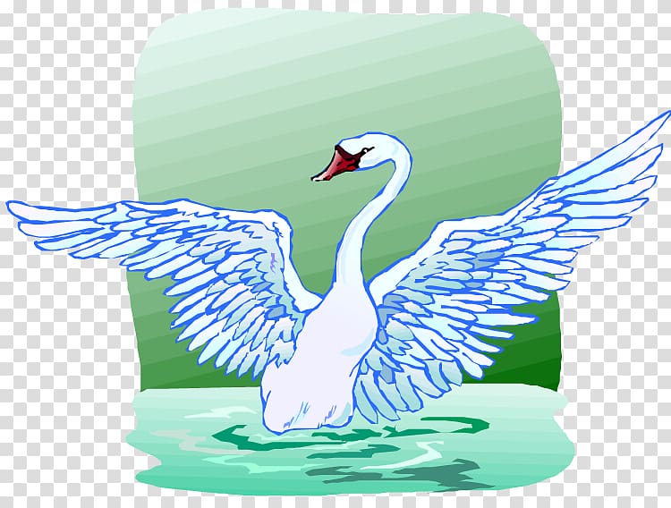 Cygnini Duck Water bird Anatidae, swan lake transparent background PNG clipart