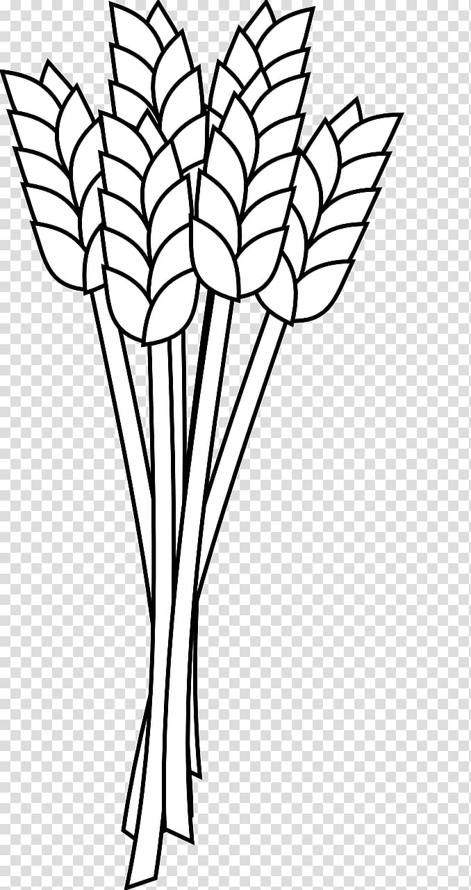 Wheat flour Coloring book Whole grain , barley transparent background PNG clipart