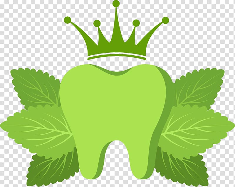 Tooth, Oral fresh teeth transparent background PNG clipart
