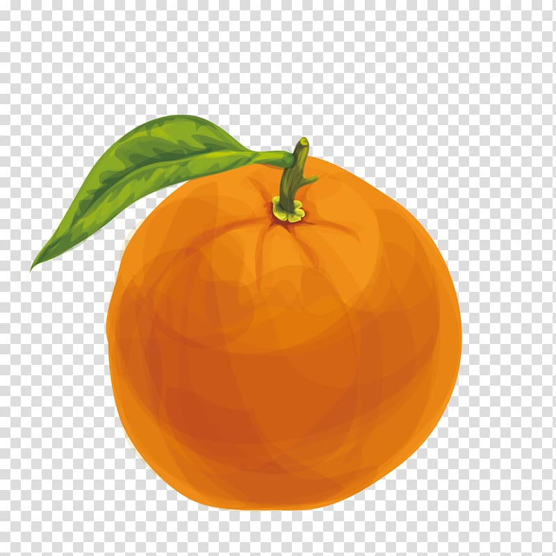 Orange juice Lemon Mandarin orange, painted orange transparent background PNG clipart