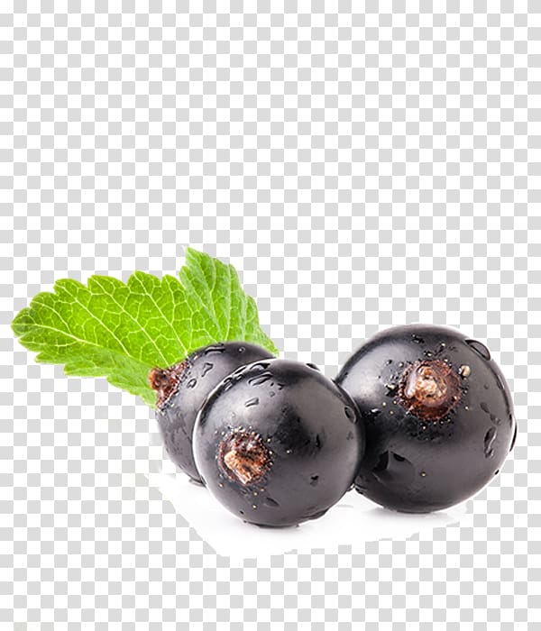Blueberry Superfood Prune, blueberry transparent background PNG clipart