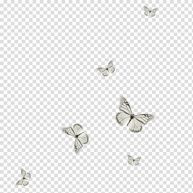 PaintShop Pro , butterfly transparent background PNG clipart