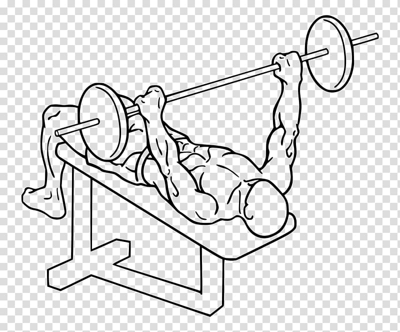 Bench press Dumbbell Weight training Barbell, barbell transparent background PNG clipart