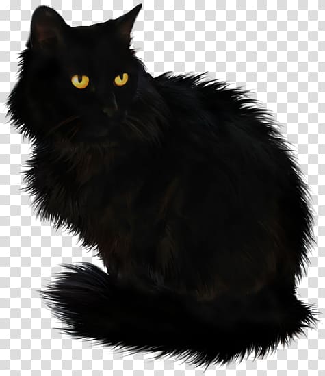 Black cat Maine Coon Domestic long-haired cat Cymric Domestic short-haired cat, hello mother cat transparent background PNG clipart