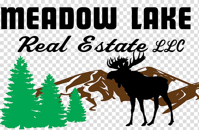 Meadow Lake Real Estate LLC House Estate agent Big Piney , house transparent background PNG clipart