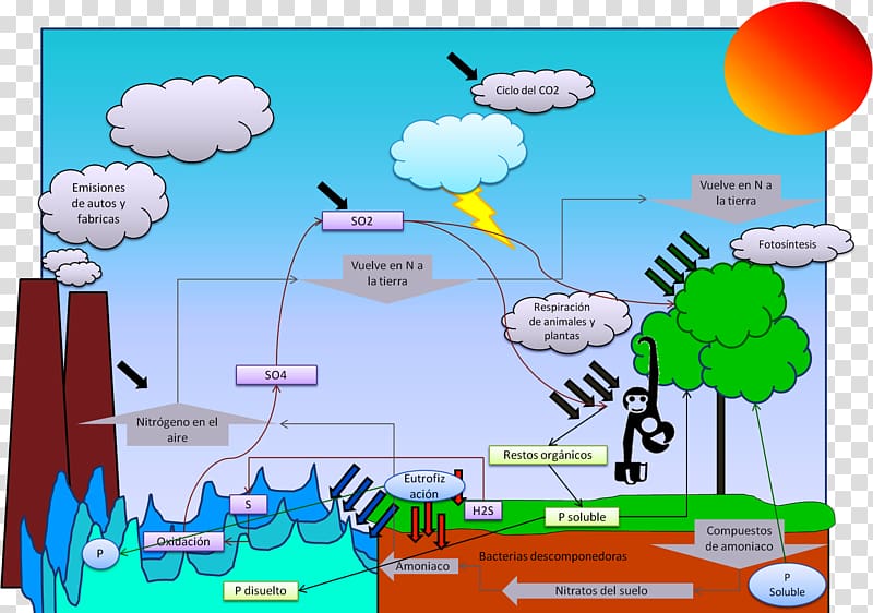 Biogeochemical cycle Biogeochemistry Chemical element Ecosystem Water resources, orange transparent background PNG clipart