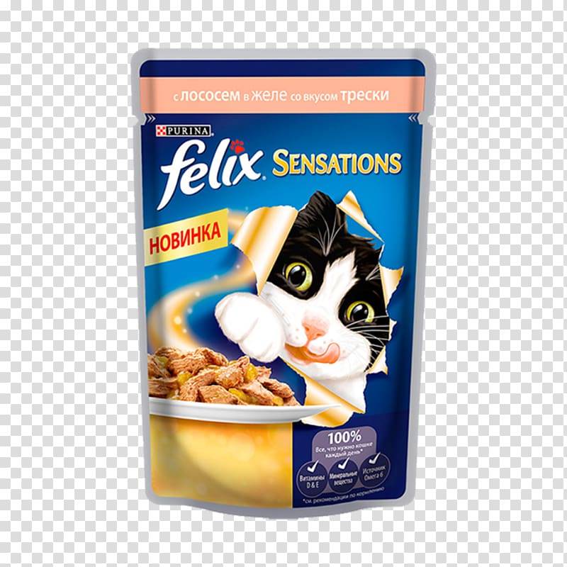 Cat Food Kitten Gelatin dessert, Cat transparent background PNG clipart