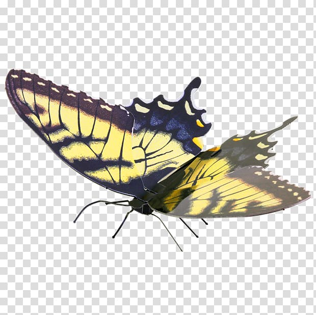 Swallowtail butterfly Eastern tiger swallowtail Pipevine swallowtail Metal, butterfly transparent background PNG clipart