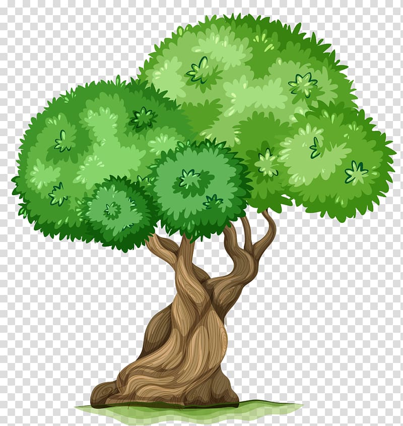 tree illustration, Fishing , Tree transparent background PNG clipart