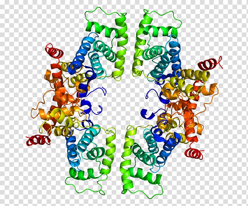 Tissue plasminogen activator Protein Data Bank Protein structure, others transparent background PNG clipart