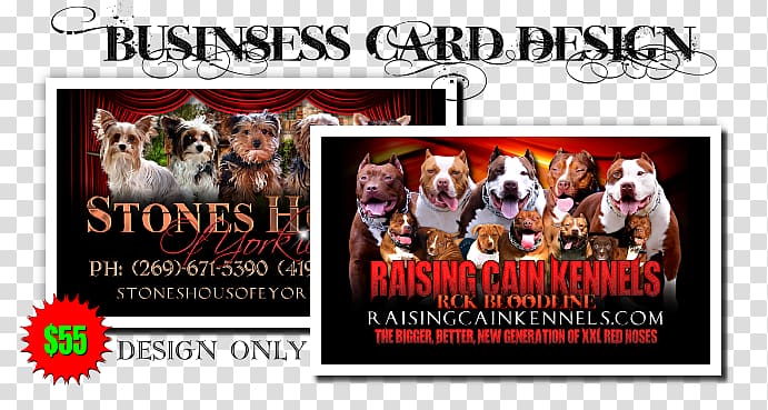 American Pit Bull Terrier Dog breeding Kennel Breeder, business cards design transparent background PNG clipart