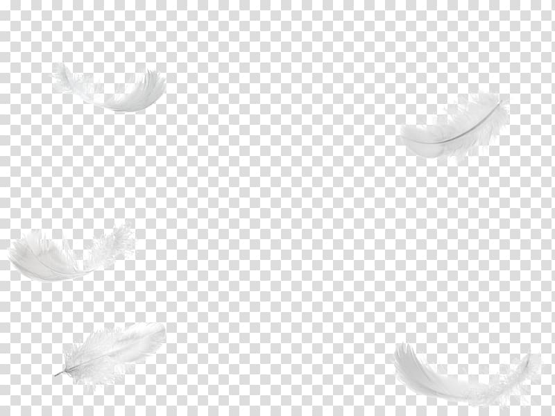 white feathers illustration, White feather Bird, feathers transparent background PNG clipart
