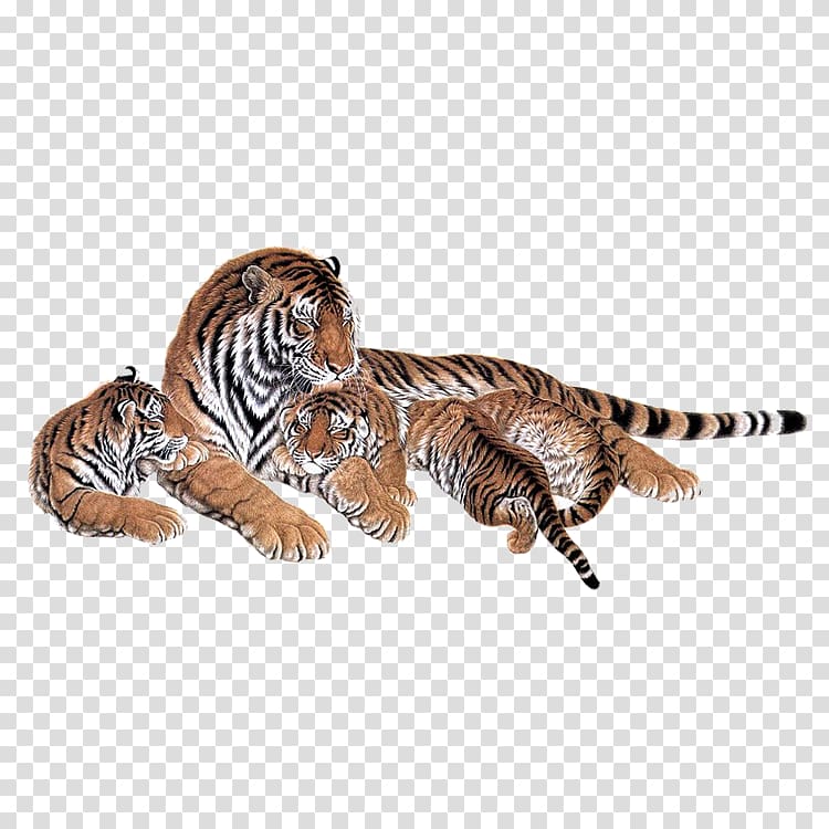 three tigers , Siberian Tiger Lion Bengal tiger Cat Animal, tiger transparent background PNG clipart