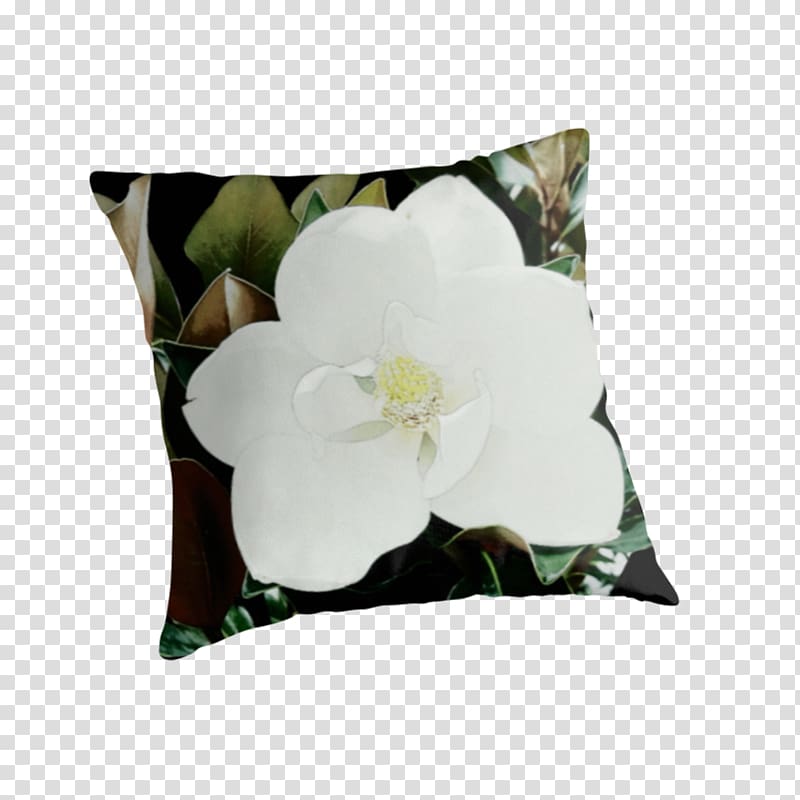 Throw Pillows Cushion Flowering plant, Magnolia grandiflora transparent background PNG clipart