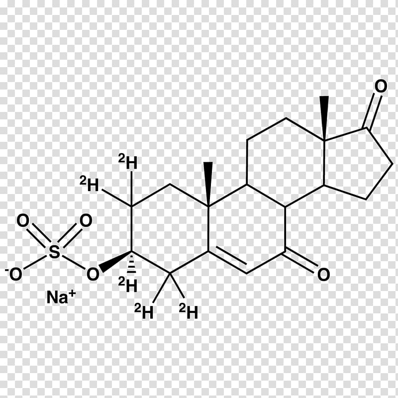 Steroid hormone 7-Keto-DHEA Estrogen, others transparent background PNG clipart