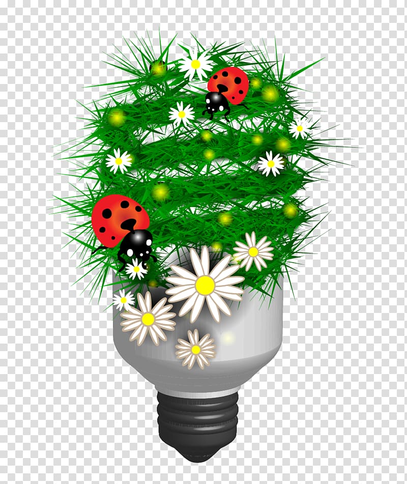 Ecology Euclidean Green, Creative green light bulb transparent background PNG clipart