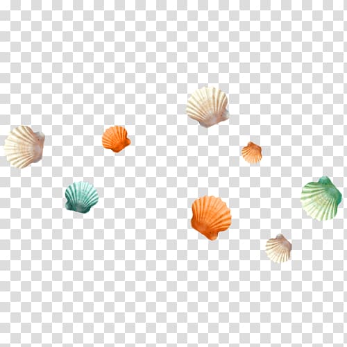 Seashell Beach , Shell material transparent background PNG clipart