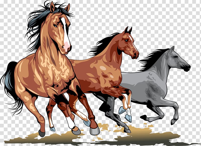 three brown and gray horses running illustration, Wild horse , horse transparent background PNG clipart