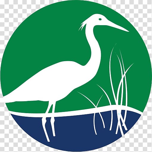 Floridas Water & Land Legacy Crane Matt Wing Court Galt Mile Bird, crane transparent background PNG clipart