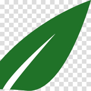 Line Leaf Angle, line transparent background PNG clipart thumbnail