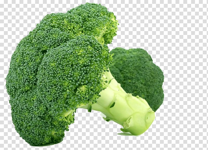 Romanesco broccoli Vegetable Food , broccoli transparent background PNG clipart